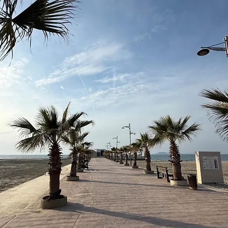 Palm Paradise