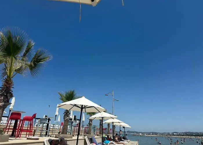 Palm Paradise Apartment