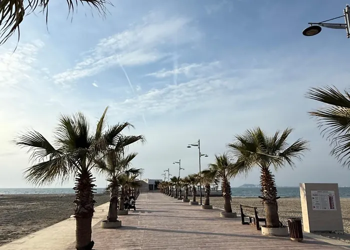 Palm Paradise