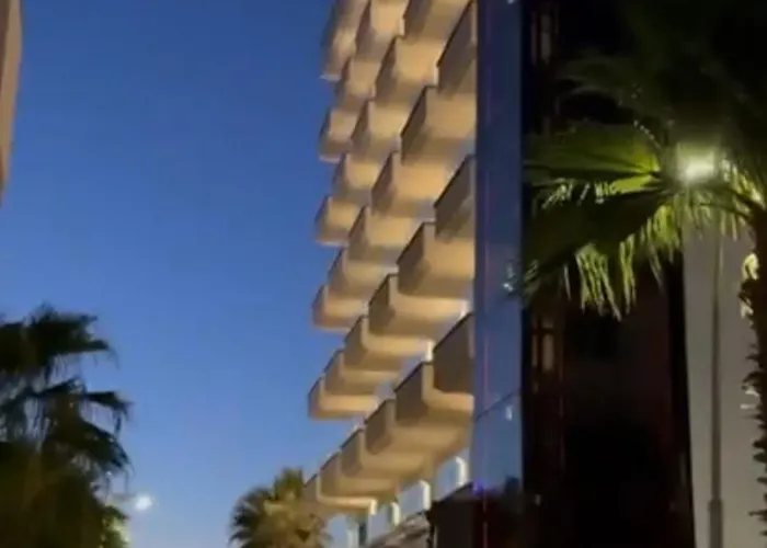Palm Paradise