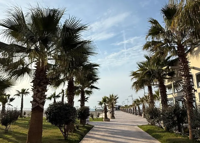 Palm Paradise