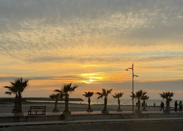 Palm Paradise *